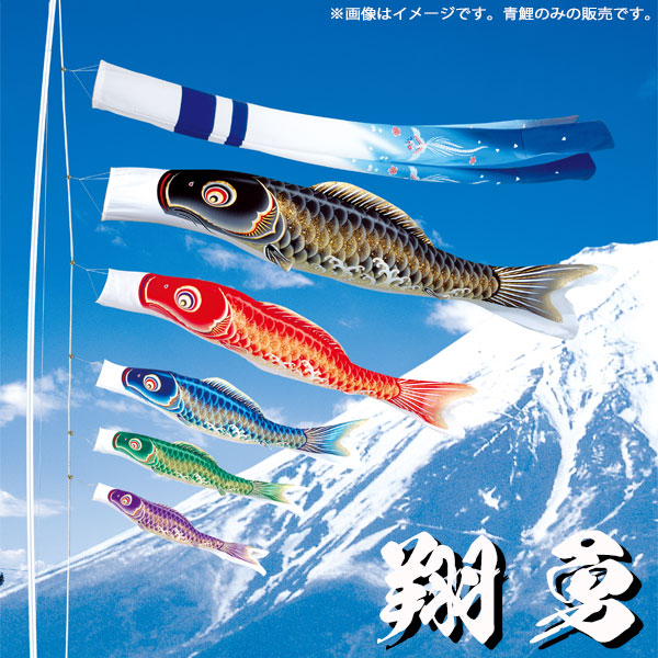 楽天市場 鯉のぼり こいのぼり こいのぼり 単品 旭天竜 翔勇鯉 1 2m 単品 黒 赤 青 緑 紫 撥水加工 送料無料 アイルインテリアエクセル