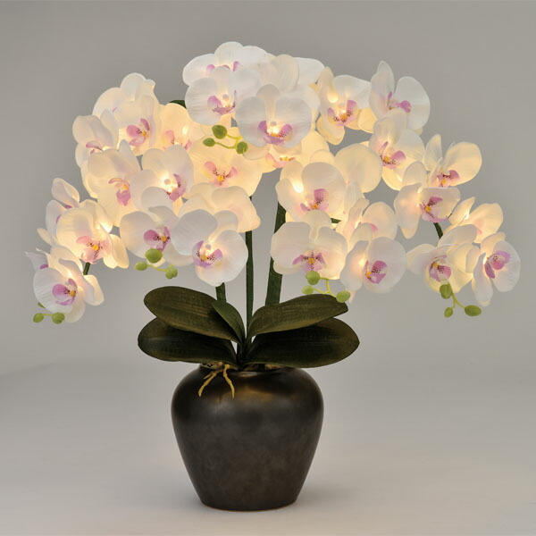 感謝価格 お盆提灯 盆ちょうちん Led コードレス ルミナス 盆提灯 インテリア提灯 光る 花 造花 ルーミールミナス5本立 仏具 モダン 初盆 仏花 仏具