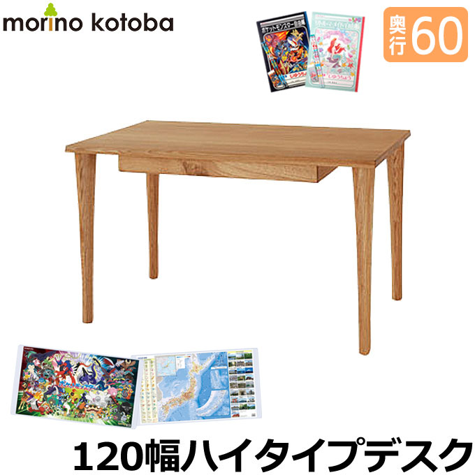 【マラソン限定!確率1/2で最大100％ポイントバック】【デスクマット★文具セット付き】飛騨産業 HIDA 国産 学習机 学習デスク 【morinokotoba ハイタイプデスク SN312WP 幅120 4色】 もりのことばシリーズ 平机 勉強机 ひだ キツツキの机