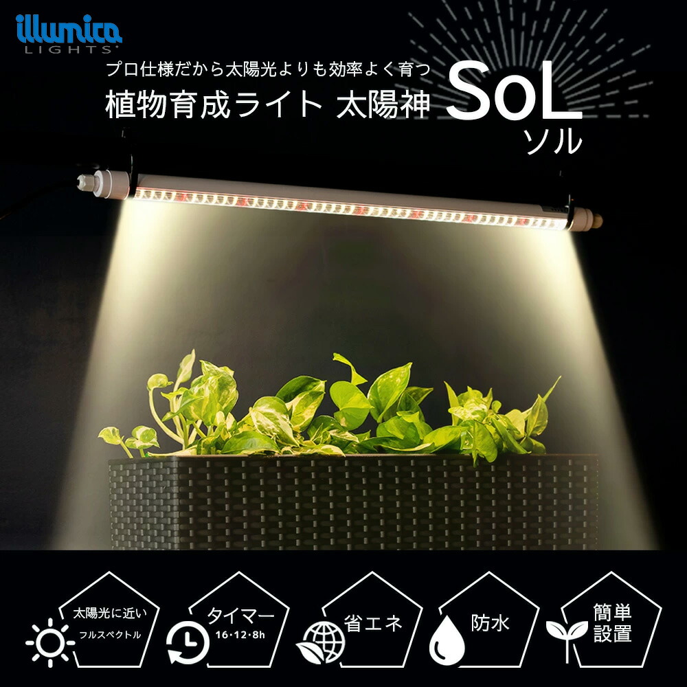 草木育みそだてる点火装置 お天道様神SoLソル /タイマーあり/ タイマーなし / 100V LED タイマー led点火装置 草木育みそだてるLED 観葉草木育みそだてる点火装置 パキポディウム