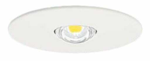 パナソニック(Panasonic)LED非常用照明器具専用型埋込型30分間タイプφ100LED低天井用(~6m)NNFB84605