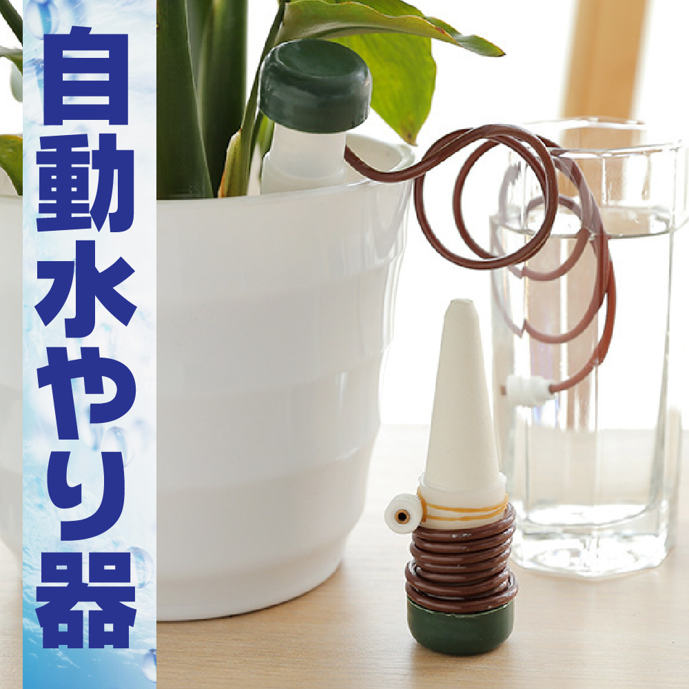 楽天市場 あす楽 送料無料 自動水やり 水遣り 鉢植え 自動給水器 観葉植物 盆栽 植物 園芸 水やり 散水 個セット Iloha