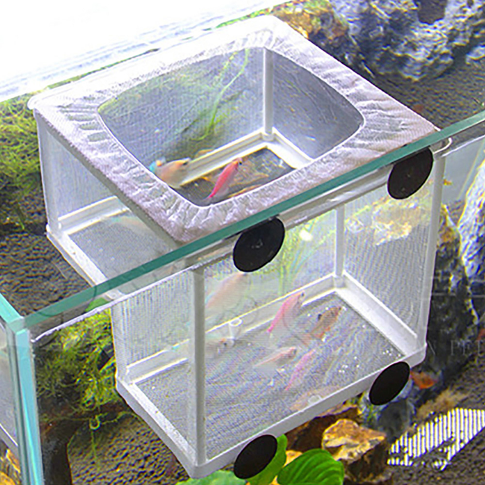 楽天市場 あす楽 送料無料 魚 隔離網 繁殖 水槽 孵化 産卵 ボックス 箱 アクアリウム ネット すくい網 Iloha