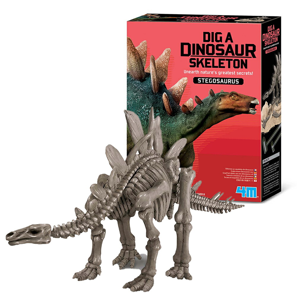 楽天市場 キッズラボ 発掘 組立 ステゴサウルス Kidz Labs Dig A Stegosaurus Skeleton ピックアップマート