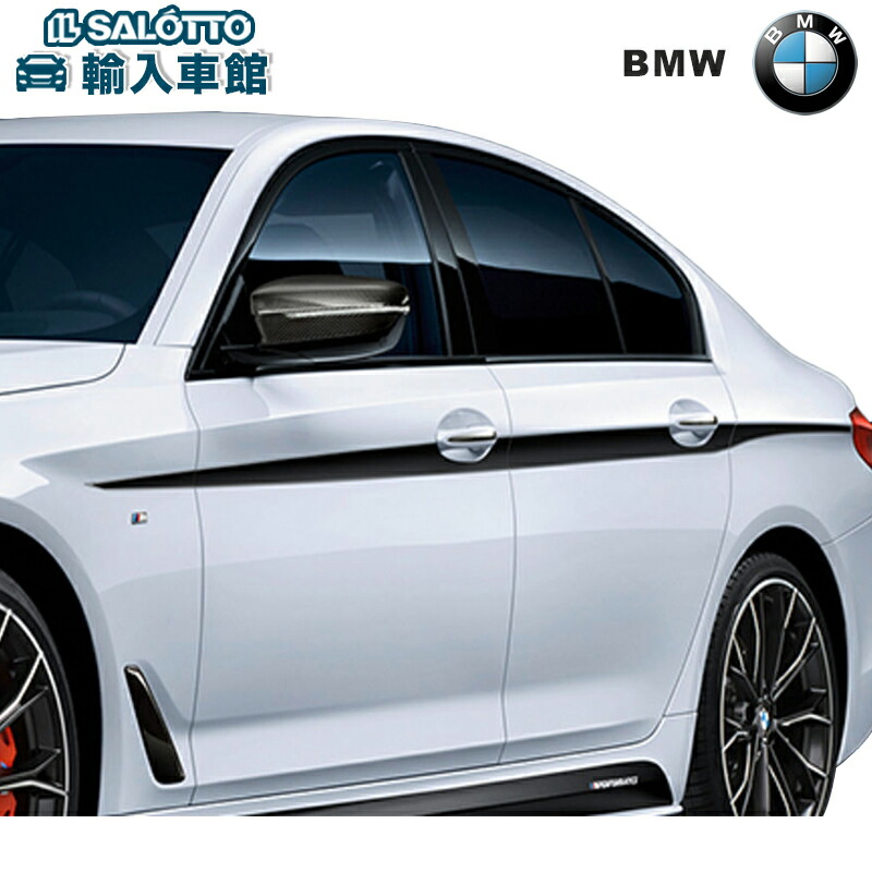 BMW ビーエムダブリュー フロントサイドパネル タイプ：左側用   カラー：mineral-silver metallic S1000RR K46 (09 2008-08 2011) BMW BMW