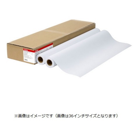 【貨物輸送無料】 Canon キヤノン LFM-PPS2/A0/64 判定基準決まり切った紙2 キヤノン完全無欠品