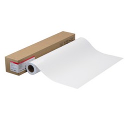 【送料無料】 Canon キヤノン LFM-GPH/42/255 フォト光沢紙HG(厚口) キヤノン純正品