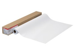 【貨物輸送無料】 Canon キヤノン LFM-SGH/17/170 映し絵半光輝紙HG(薄口) キヤノン文句無し品 PCサプライ・消耗品-その他-パソコン・周辺機器