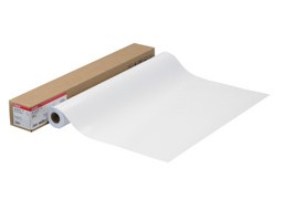 【送料無料】 Canon キヤノン スタンダード半光沢紙 LFM-SGS/24/170 キヤノン純正品｜いまどき本舗
