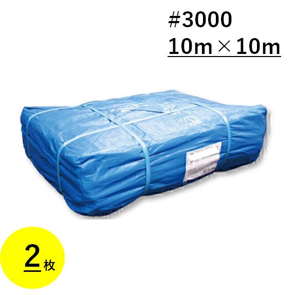 ブルーシート 10m×10m #3000 厚手 2枚 10×10 ハトメ付き 風雨除け 養生シート 作業シート 防災 工事 イベント 養生 レジャーシート 補修 台風|今戸屋建材 店