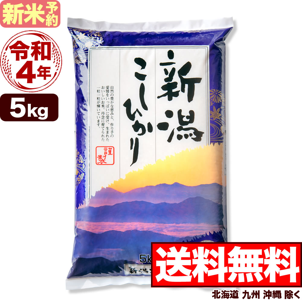 楽天市場】ミルキークイーン 10kg(5kg×2袋) 新潟県産 令和3年産【送料無料】(北海道、九州、沖縄除く)【令和3年産 在庫一掃】 : お米プラザ 新潟［楽天市場店］