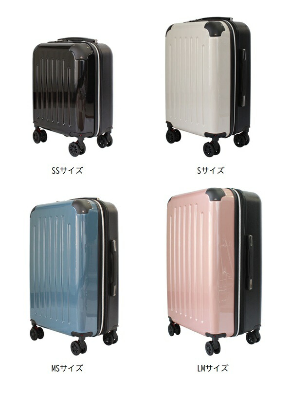 楽天市場】【40%offキャンペーン】Novel マットフレームキャリー L