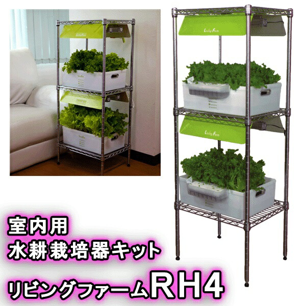\u003cBR\u003e【貨物輸送無料（沖縄・離島を除く）】\u003cBR\u003eリビング農場 LF-RHL4 室内水耕作りだす器一揃いの道具 リビング農場ＲH4\u003cBR\u003e【製造会社直送】【代引っ張ること/同荷作り不可】\u003cBR\u003e【作りだす一揃いの道具/水耕作りだす/作りだす仕かける/LivingFarm】