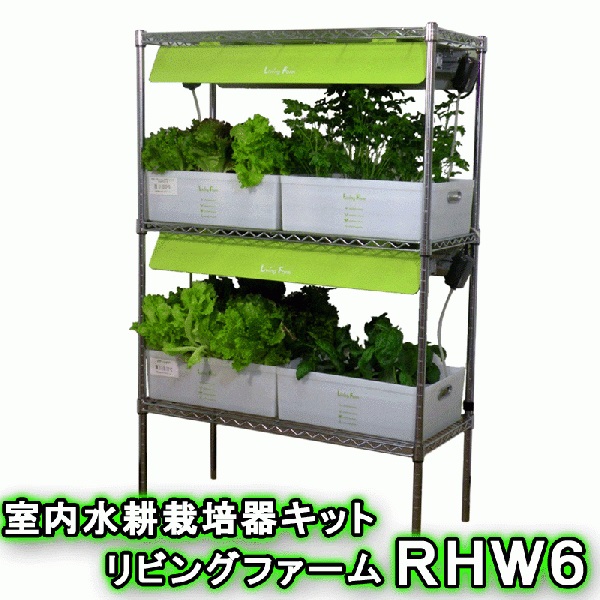 \u003cBR\u003e【貨物輸送無料（沖縄・離島を除く）】\u003cBR\u003eリビング農場 LF-RHWL6 室内水耕作りだす器一揃いの道具 リビング農場RHW6\u003cBR\u003e【製造会社直送】【代引っ張ること/同荷作り不可】\u003cBR\u003e【作りだす一揃いの道具/水耕作りだす/作りだす仕かける/LivingFarm】