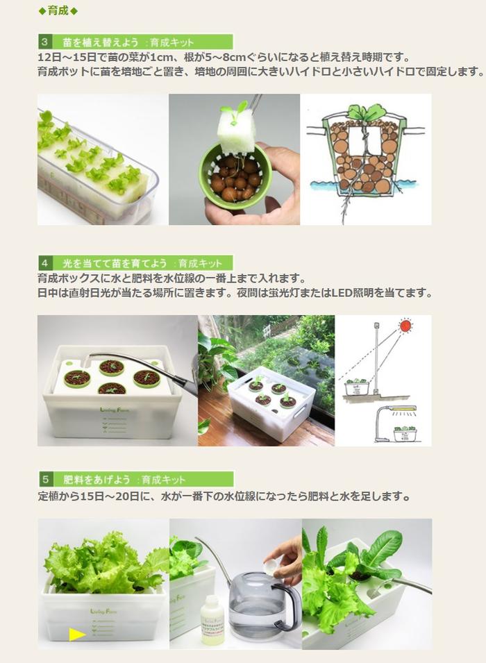楽天市場 リビングファーム Lfs 027 ココベジキットシリーズ パクチーの種子付き 水耕栽培 苗作りキット メーカー直送 代引き 同梱包不可 栽培キット 水耕栽培 栽培セット Livingfarm 新未来創造