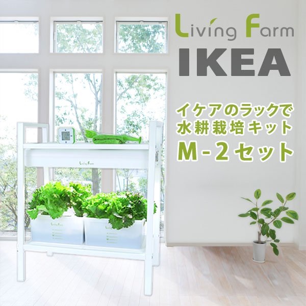 \u003cBR\u003e【貨物輸送無料（沖縄・離島を除く）】\u003cBR\u003e身寄り作りだす 不道徳修める IKEA イケアで水耕作りだす M-2 リビング農場 LF-IK＆CVM2\u003cBR\u003e【製造会社直送】【代引っ張ること/同荷作り不可】\u003cBR\u003e【作りだす一揃いの道具/水耕作りだす/作りだす仕かける/LivingFarm】