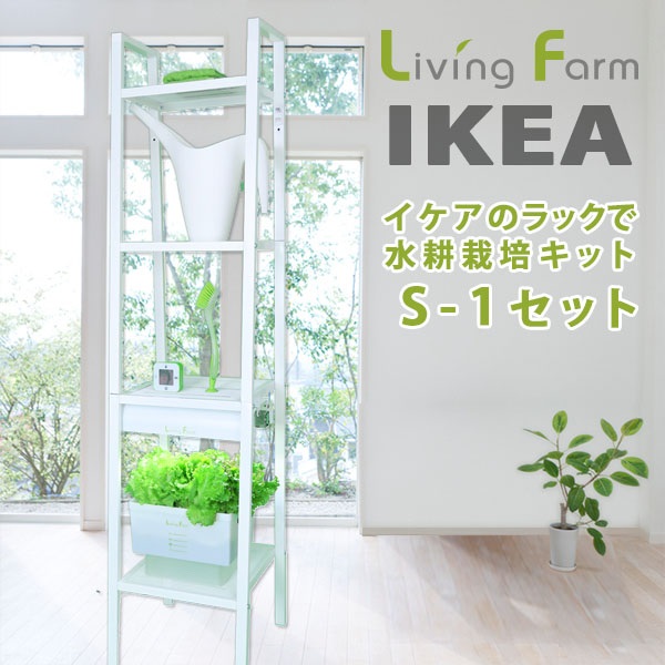 \u003cBR\u003e【貨物輸送無料（沖縄・離島を除く）】\u003cBR\u003e身寄り作りだす 不道徳修める IKEA イケアで水耕作りだす S-1 リビング農場 LF-IK＆CVS1\u003cBR\u003e【製造会社直送】【代引っ張ること/同荷作り不可】\u003cBR\u003e【作りだす一揃いの道具/水耕作りだす/作りだす仕かける/LivingFarm】