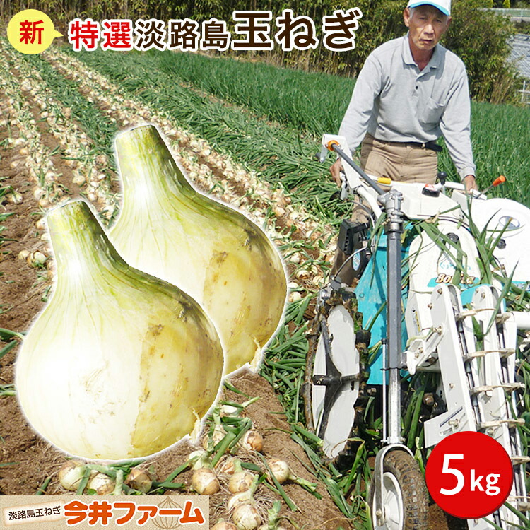 楽天市場】【予約商品】淡路島産たまねぎ苗早生品種七宝 楽天市場】【予約商品】淡路島産たまねぎ苗早生品種七宝