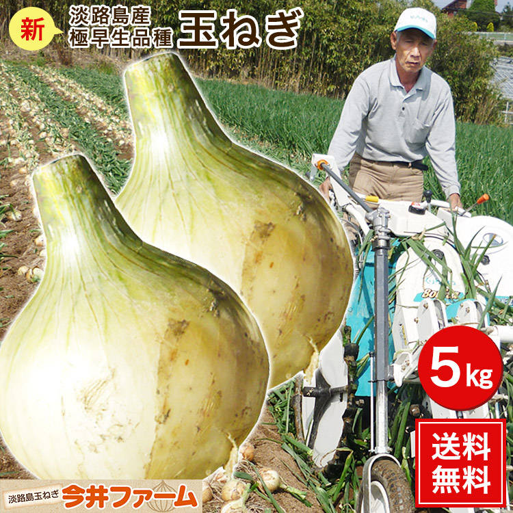 【楽天市場】淡路島産 【極早生品種】【送料無料】＃極早生淡路