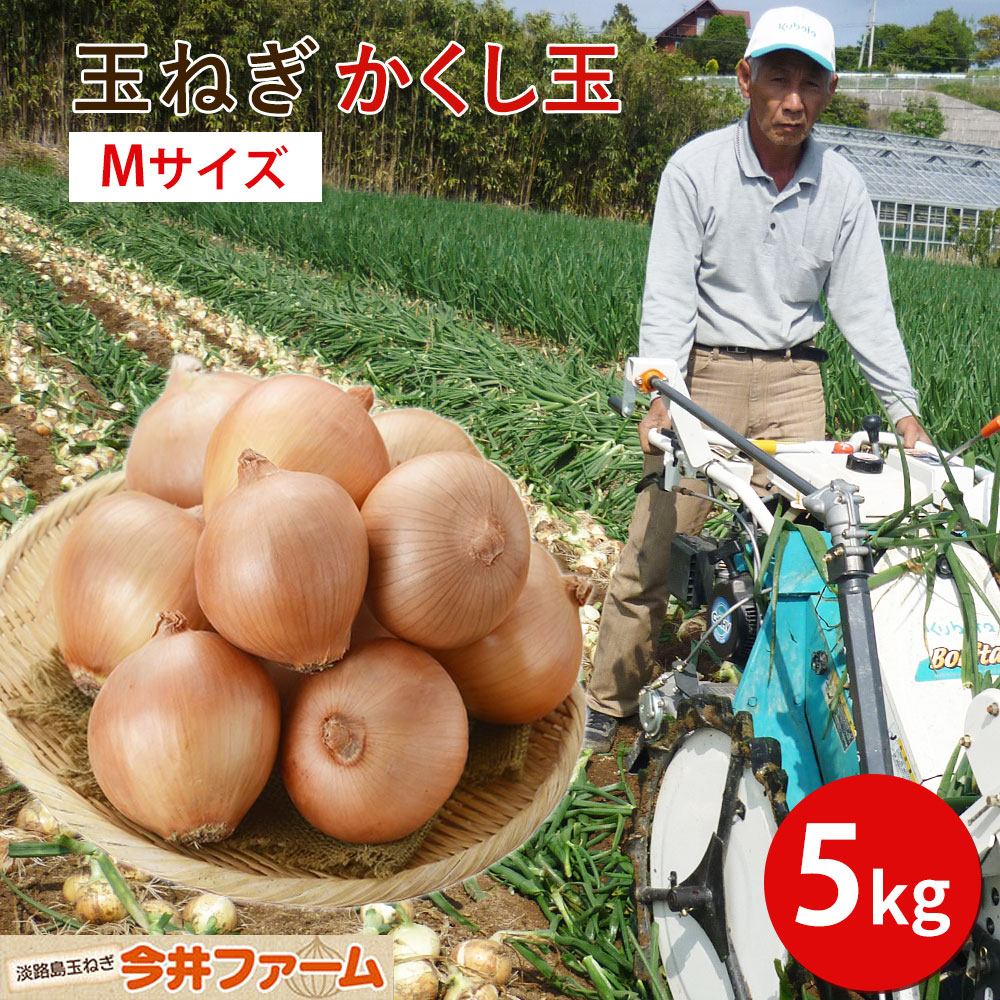 た〜っぷり　玉ねぎ　5キロ 使い切りサイズ　09 た〜っぷり玉ねぎ5キロ 使い切りサイズ09