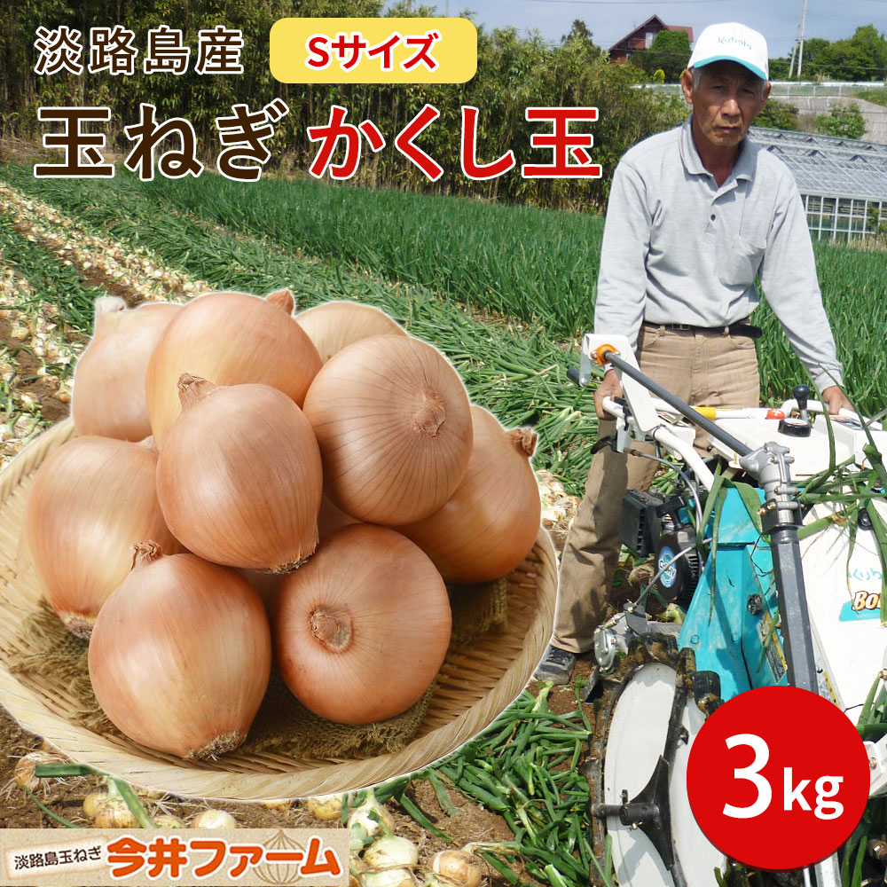 日本画(19)　玉ねぎ2 kakusi-s_3kg.jpg