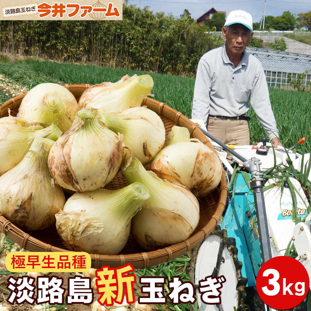 淡路島産 苗 レクスター 1000本超 淡路島産 苗 レクスター 1000本超