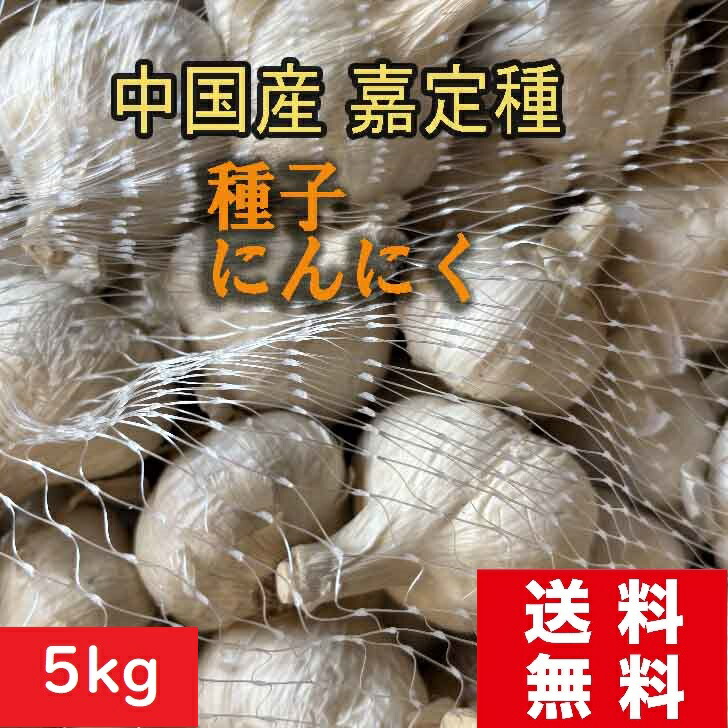 楽天市場】【楽天スーパーセール☆エントリー3商品購入でP10倍】1片で