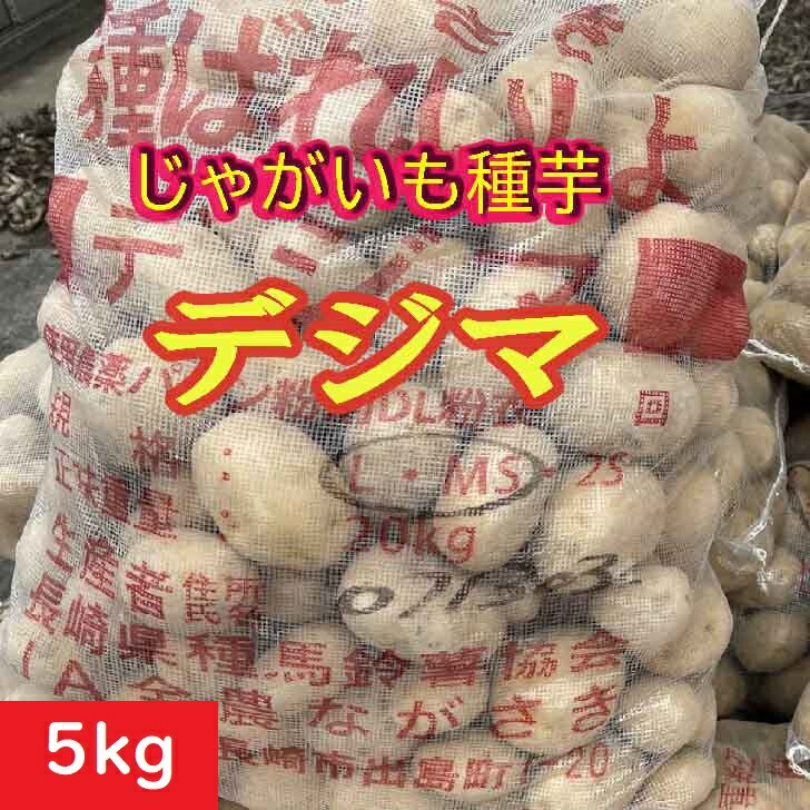 楽天市場】＼売り尽くし／じゃがいも 種芋 10kg 送料無料 マツコ