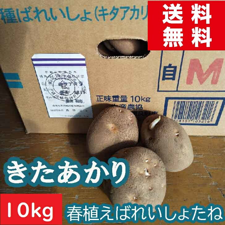 楽天市場】キタアカリ種芋 10kg 訳ありB品 北海道 種馬鈴薯検査合格済