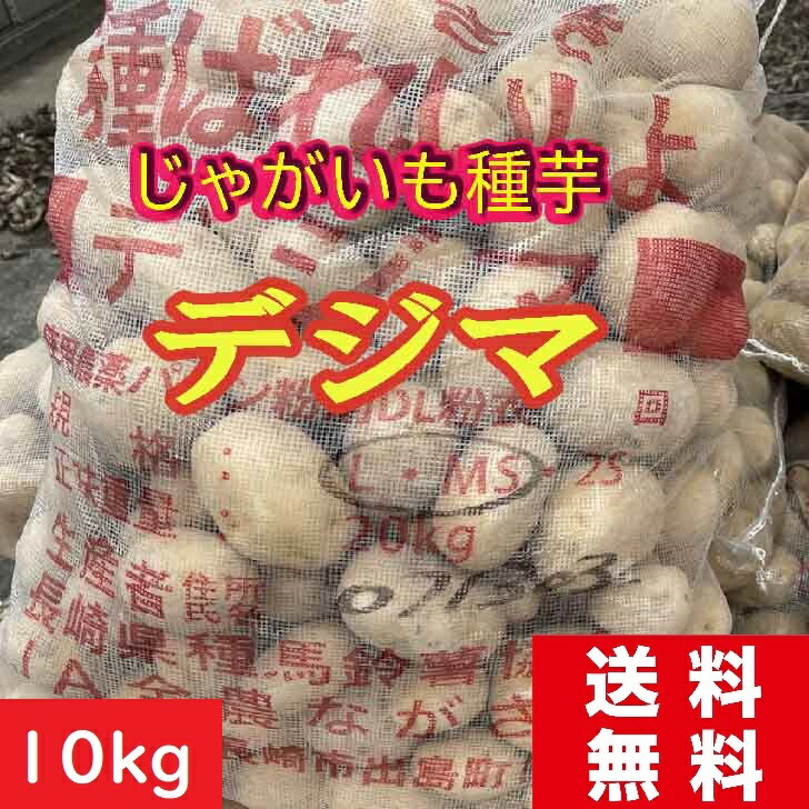 ジャガイモ　10kg箱 種芋　07 じゃがいも(ジャガイモ)10kg箱
