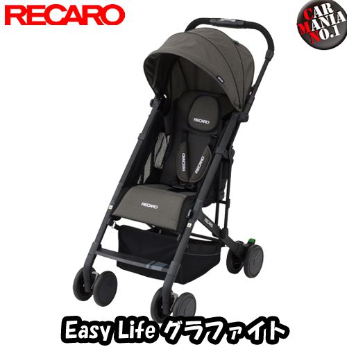 recaro easylife accessories