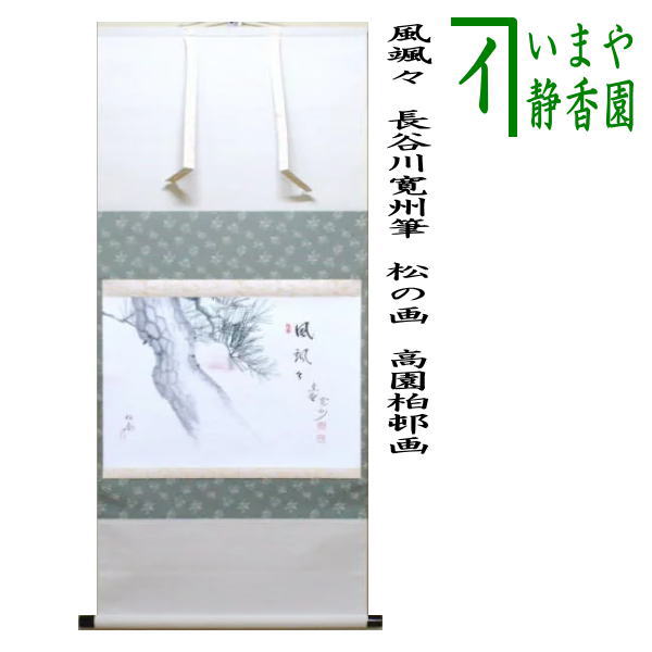 【茶器/茶道具　掛軸（掛け軸）】　横軸画賛　風颯々（松風颯々声）　長谷川寛州筆　松の画　高園柏邨画｜いまや茶の湯日本茶・今屋静香園
