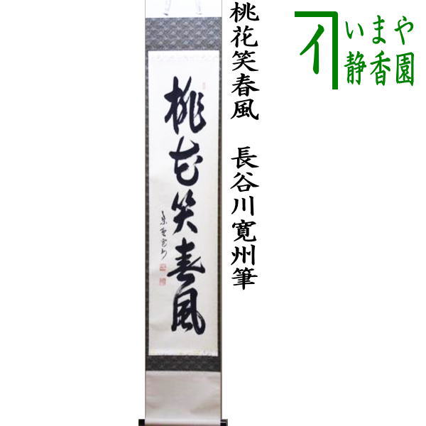 美品 掛け軸 大徳寺 立花大亀作「白雲自去来」共箱 中島静好堂表具 茶掛け 美品 掛け軸 大徳寺 立花大亀作「白雲自去来」共箱 中島静好堂表具
