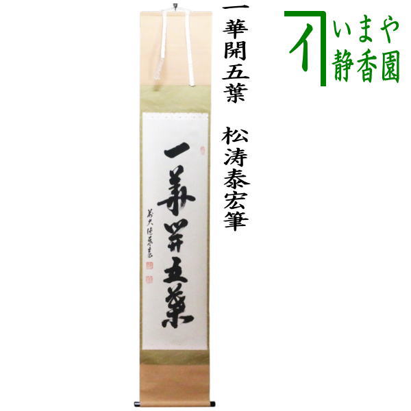 楽天市場】【茶器/茶道具 掛軸（掛け軸）】 一行 春入千林処々鶯又は弄