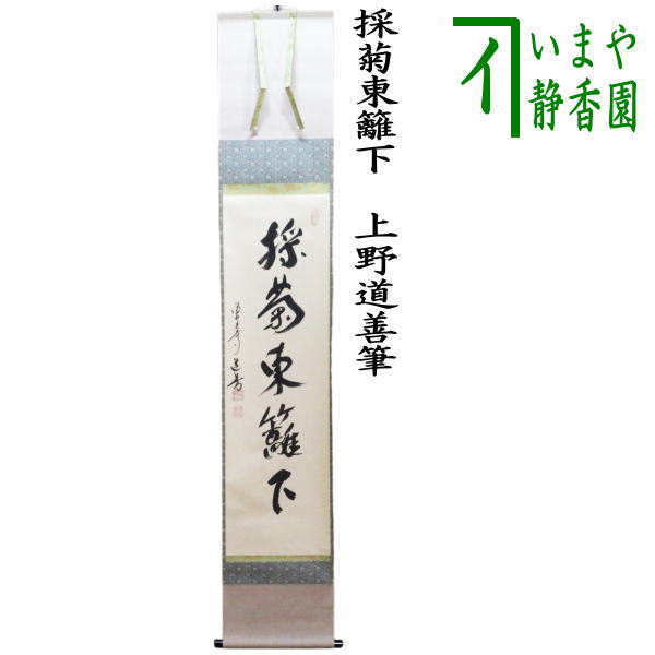 楽天市場】【茶器/茶道具 掛軸（掛け軸）】 一行 白鳥入蘆花 橘宗義筆