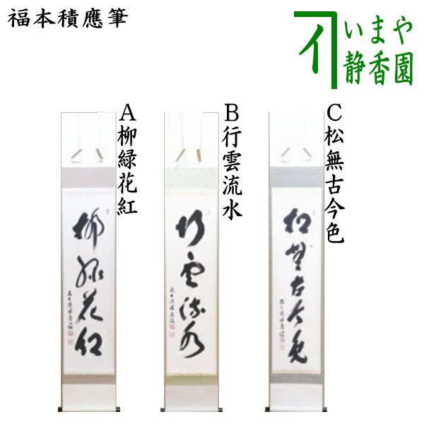 【77bega-arutairu】 掛軸 福本積應「萬歳緑毛亀」 81zNUlbU5BL._UF350,350_QL50_.jpg