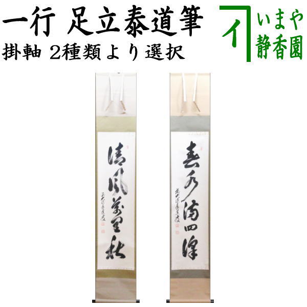 美品 掛け軸 大徳寺 立花大亀作「白雲自去来」共箱 中島静好堂表具