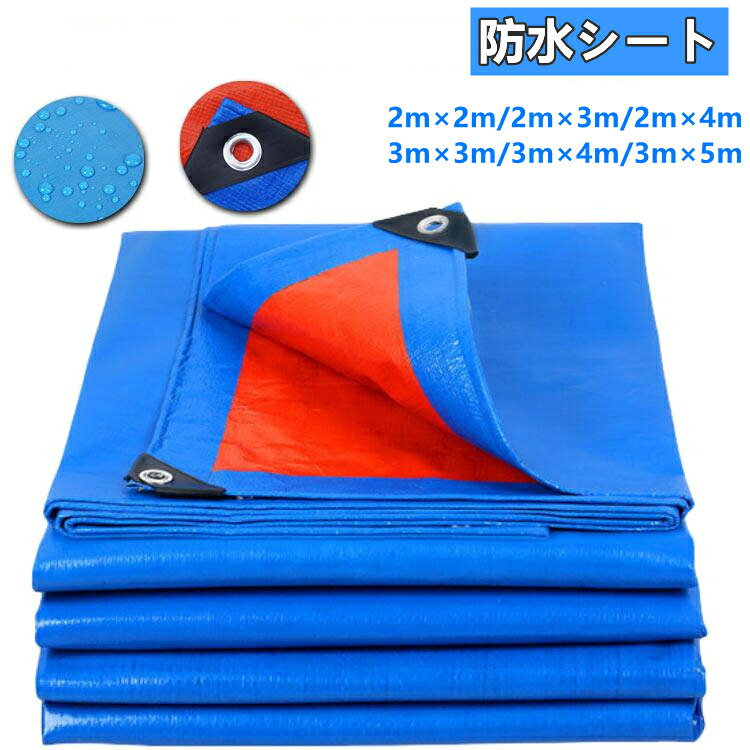 y360810_1.jpg