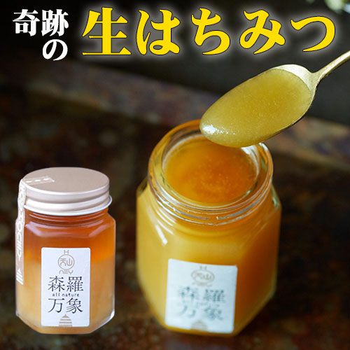 蜂蜜 森羅万象 600ml 100ml×4 1000ml セット Amazon | 森羅万象 はちみつ 600g 非加熱 完熟 [ 酵素 無添加