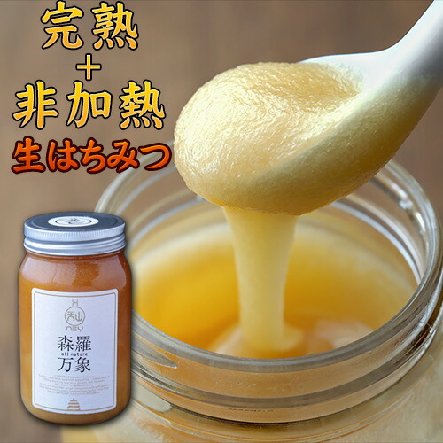 【定期購入】森羅万象 600g [蜂蜜]完熟・非加熱・奇跡の生はちみつ：イミコトマルシェ