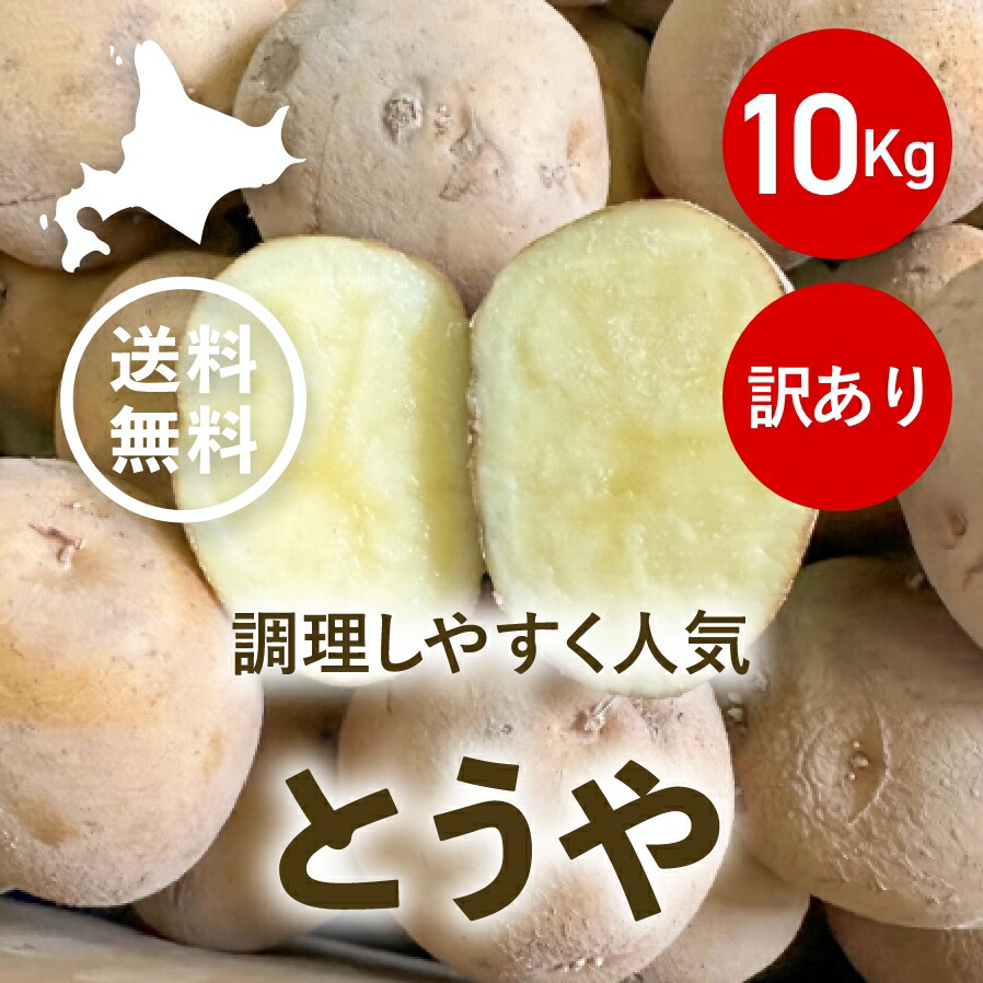 touya_10_wakeari.jpg