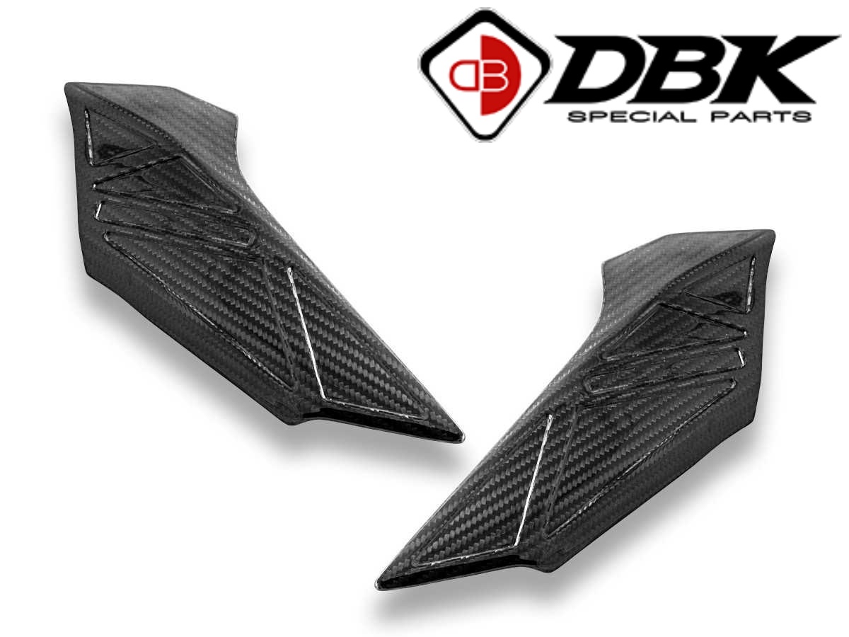 【正規輸入代理店】 DUCABIKE (DBK) - ドライカーボン リアフレームガードカバー (艶あり) R1300 GS '24-25 カーボン ビーエムダブリュー