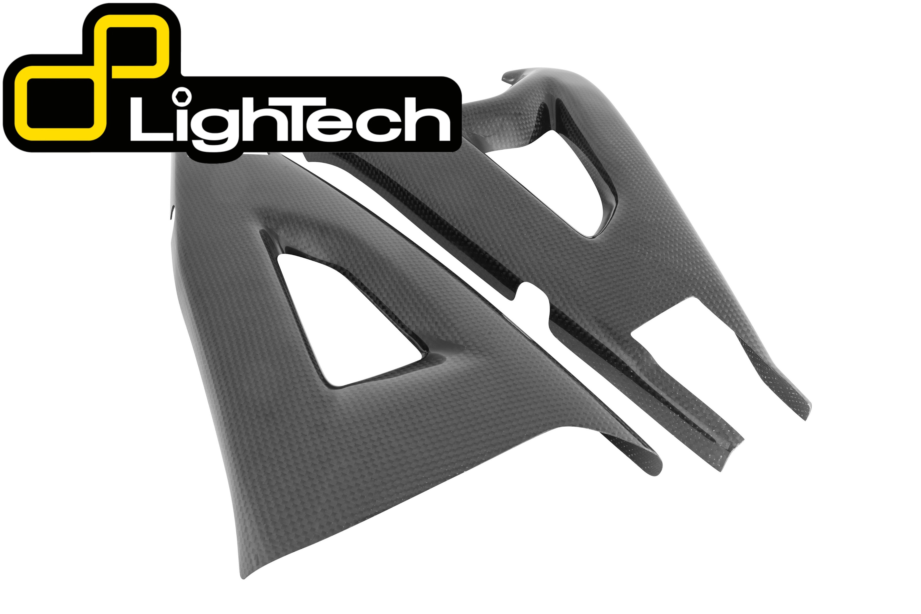 【正規輸入代理店】 LighTech - ドライカーボン スイングアームプロテクター (艶あり) ZX-10R '11-15 カーボン カワサキ