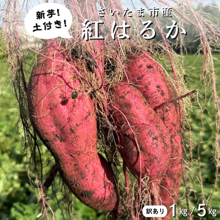 サツマイモ 楽天市場】送料無料 【 楽天ランキング1位 】 さつまいも 紅