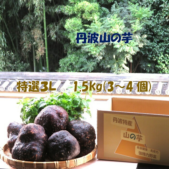 丹波特産 山の芋 つくね芋 特選3Ｌ 1.5キロ  (3～4個)   最高級 プレミアム  粘りが段違い 極上のきめ細かさ とろろ 濃厚食感 父の日 ギフト ご贈答