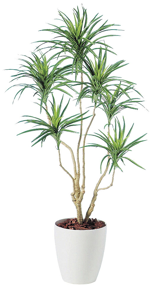 ■直送品 東北花材 ＳＧ コンシナ トリコロル ９０７４９ １．４ｍ  [  1-2599-1001  ]