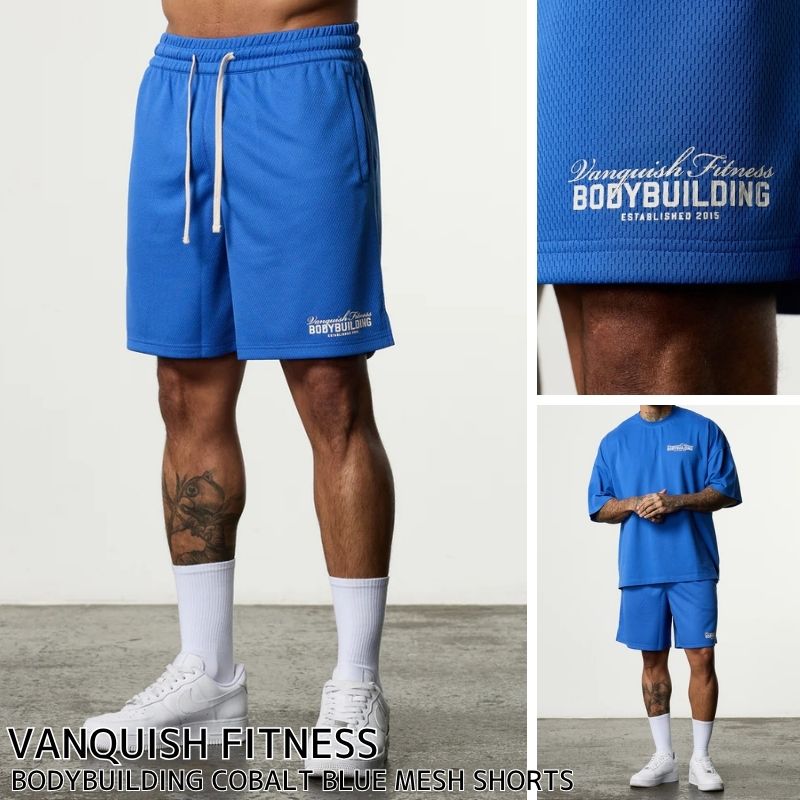 ヴァンキッシュ 二分の一ズボン下 VANQUISH FITNESS BODYBUILDING COBALT BLUE MESH SHORTS 遊撃手ズボン下 さる股引き さる股引き メンズ 筋トレ 体育館 御召しもの 運動競技御召しもの 定め事品[御召しもの]ユ00582