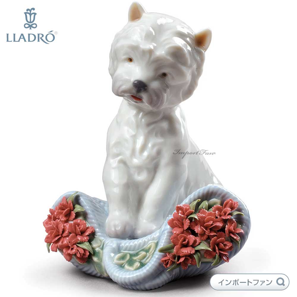 リヤドロ いたずらっ子 スペシャルバージョン ヨークシャテリア カーネーション 置物 01008065 LLADRO ギフト プレゼント 【ポイント最大47.5倍！お買い物マラソン セール】｜Import Fan