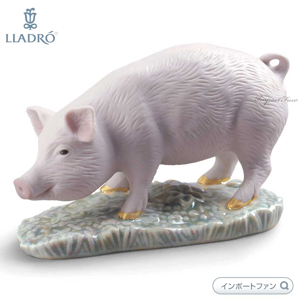 イノシシ　置物 8126e09bc064533657c88c78112a41