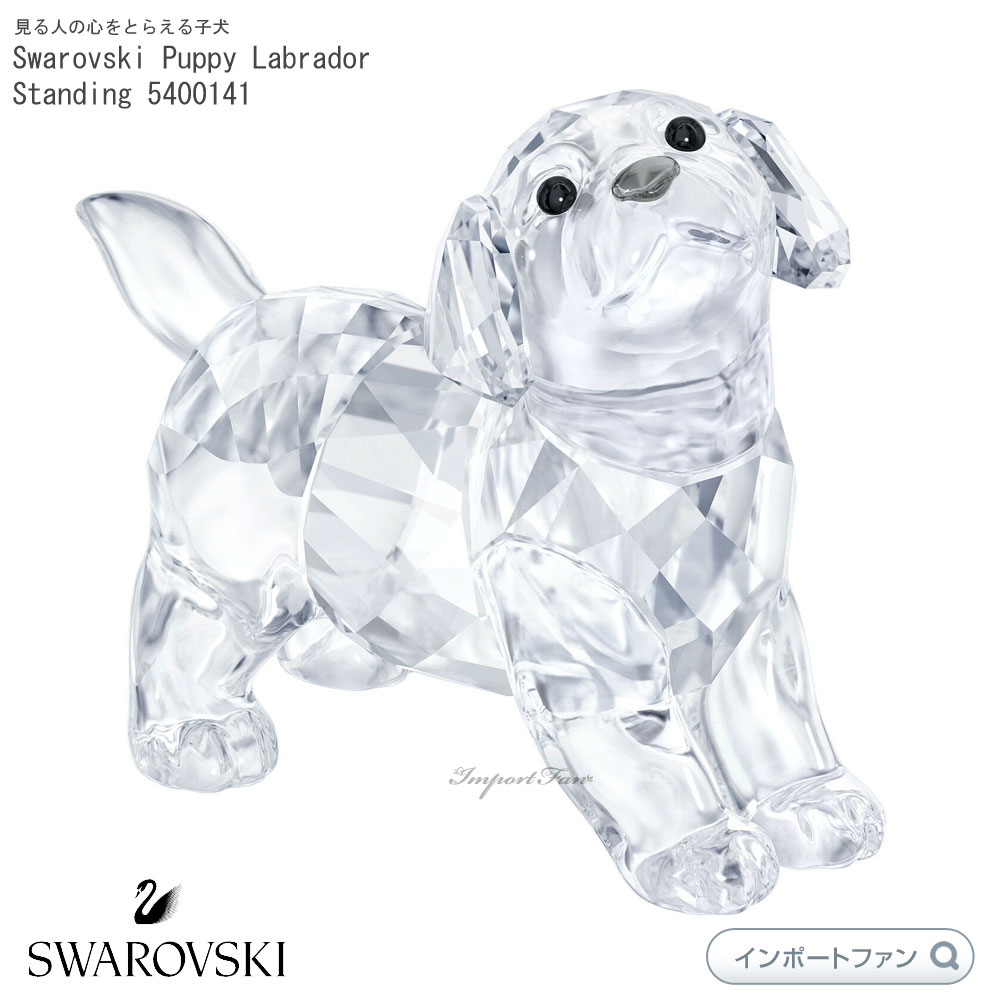 楽天市場 スワロフスキー 赤ちゃん ラブラドール 子犬 パピー 立つ 犬 ギフト 置物 Swarovski Puppy Labrador Puppy Standing Import Fan